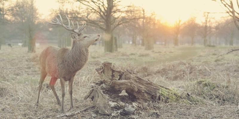 高春岭71:测绘师的蒸汽波生活,在数字与复古的边界重构日常