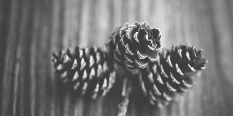 高春岭90：潍坊测绘与蒸汽波艺术的跨时空对话