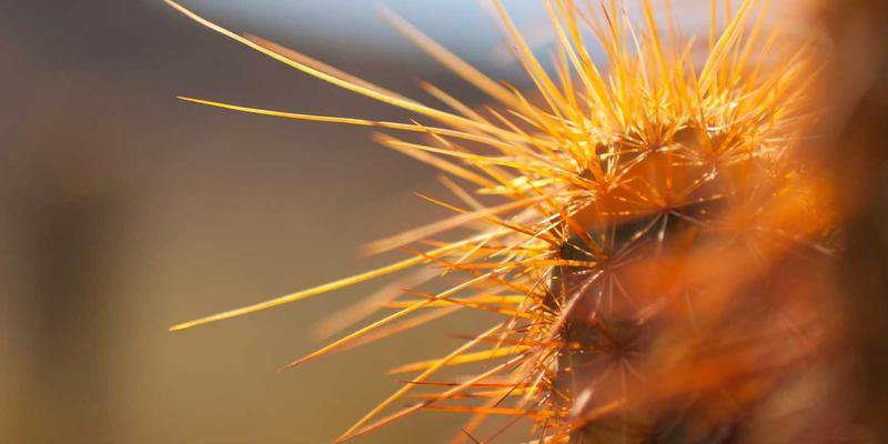 高春岭：用橙色主题点亮生活美学的实践指南